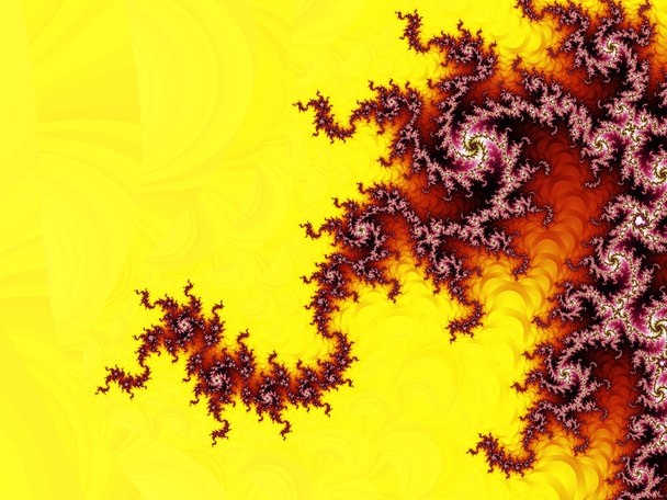 Modèle fractal
 - Photo, image