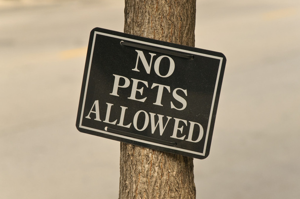 No Pets Allowed - Photo, Image