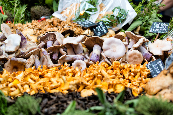 Fresh chanterelles and Cauliflower mushroom exposed in baskets on the market. - Photo, Image