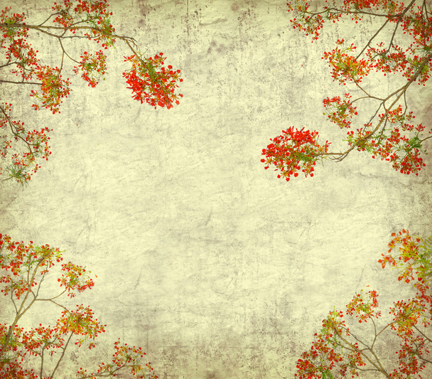 Paw kwiaty na drzewo z starodawny stary tło kartonowe - Zdjęcie, obraz