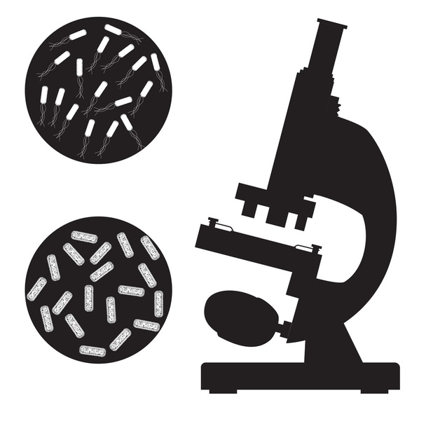Zwarte medische Microscoop en bacterie. - Vector, afbeelding