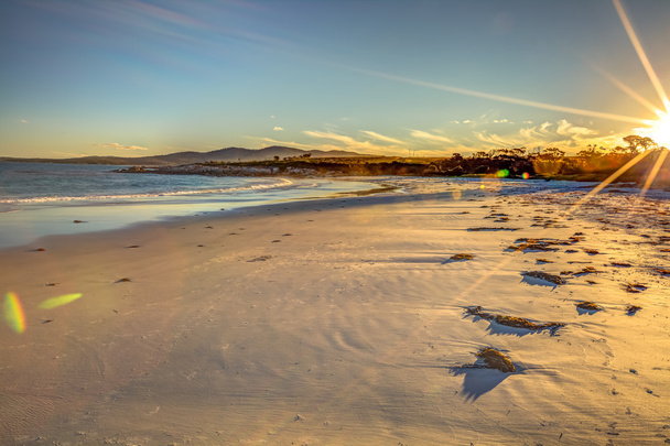 Valkoinen ranta Tasmania
 - Valokuva, kuva
