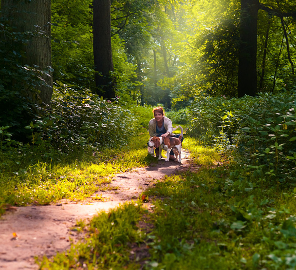 Mujer con beagle caminando en el parque
 - Foto, imagen