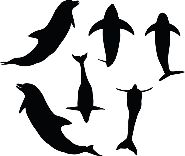 Delfinsilhouette - Vektor, Bild