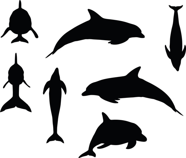 Дельфін силует
 - Вектор, зображення