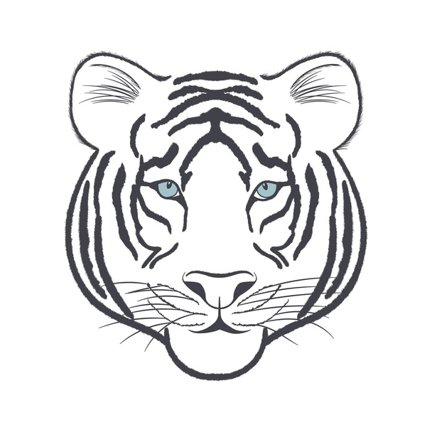 White Tiger hoofd - vector iillustration - Vector, afbeelding