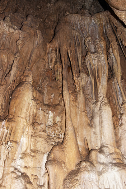 Bizarre creatie In de grot met stalactieten - Foto, afbeelding