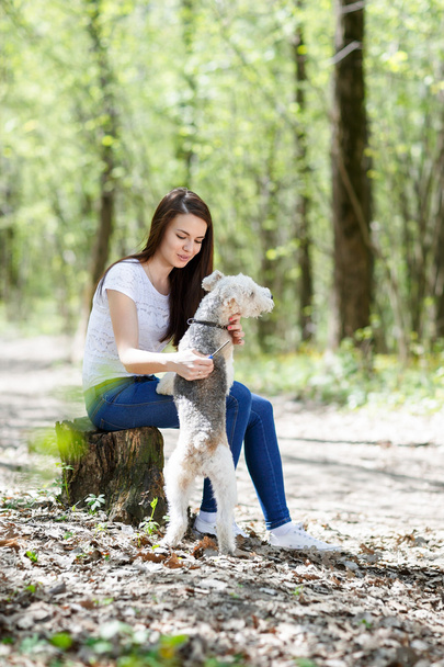 portrait of Beautiful young girl with her dogs   - Zdjęcie, obraz