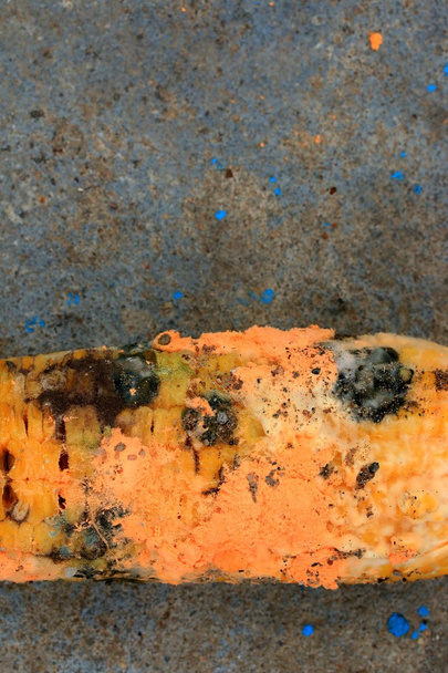 pomarańczowy spleśniały zgniłe kukurydzy - Zdjęcie, obraz