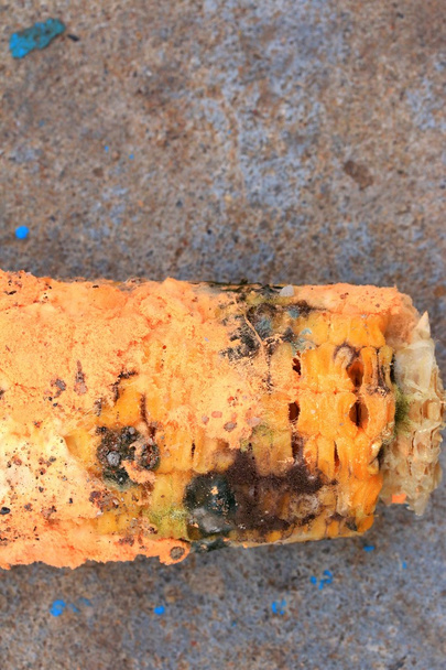 pomarańczowy spleśniały zgniłe kukurydzy - Zdjęcie, obraz