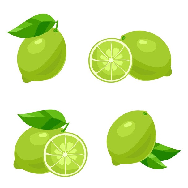 Lime. Vector - Vector, Image