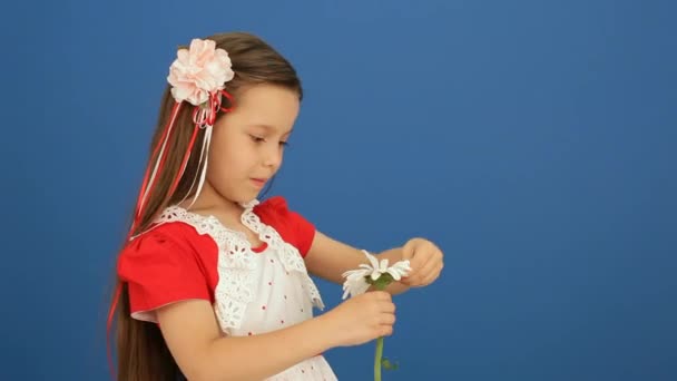 Mädchen brach die Blütenblätter einer Blume ab - Filmmaterial, Video