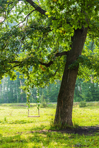 swing on a tree - Fotoğraf, Görsel