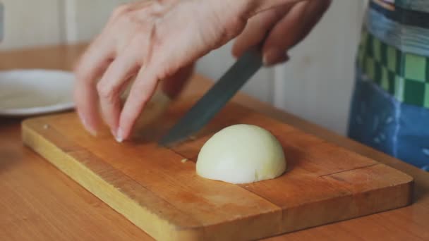 Woman's hands cutting onion at home - Záběry, video