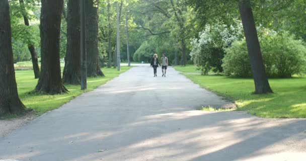 Ragazza e ragazzo camminano per la maniglia nel parco. Vanno alla telecamera.
. - Filmati, video