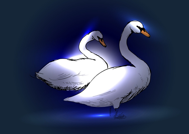 Swans on a blue background - Vector, imagen