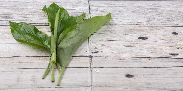 Куркума листя
 - Фото, зображення