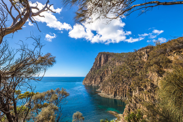 Cliffs Tasmania - Photo, Image