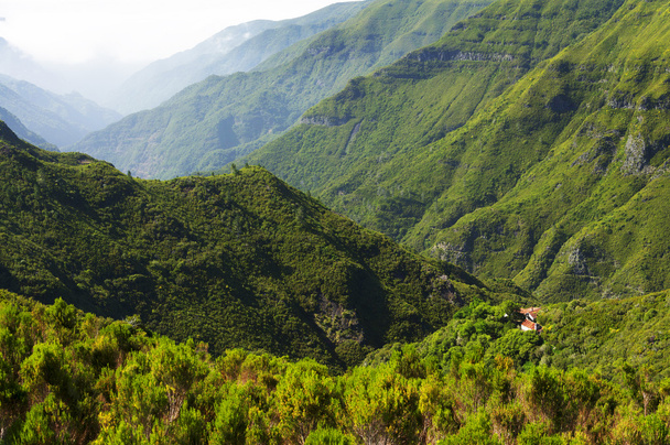 Alpine landscape in Madeira Island, Portugal, Europe - Zdjęcie, obraz