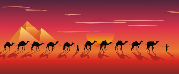 Caravan of camels in the desert - Vektor, Bild