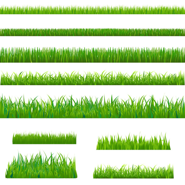 großes grünes Gras - Vektor, Bild