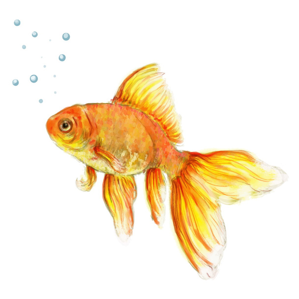 renkler boyalı goldfish - Vektör, Görsel