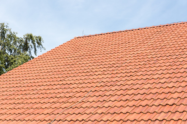 Red tiles roof of Dutch farmhouse - Photo, Image