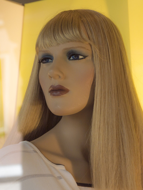 Blond Woman Mannequin - Foto, imagen