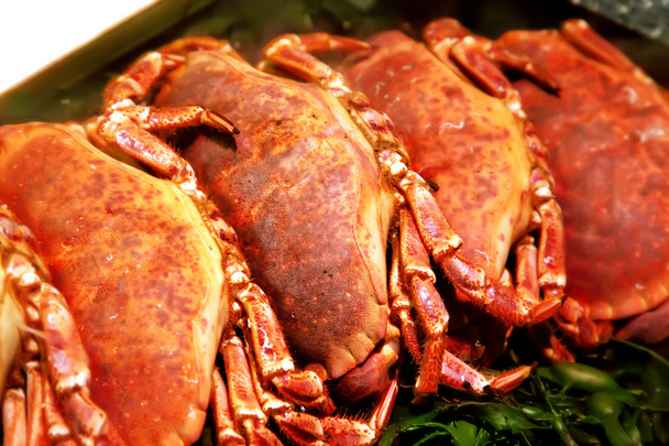 Raw crabs in shop - Photo, Image