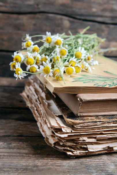 Old books with dry flowers - Fotoğraf, Görsel