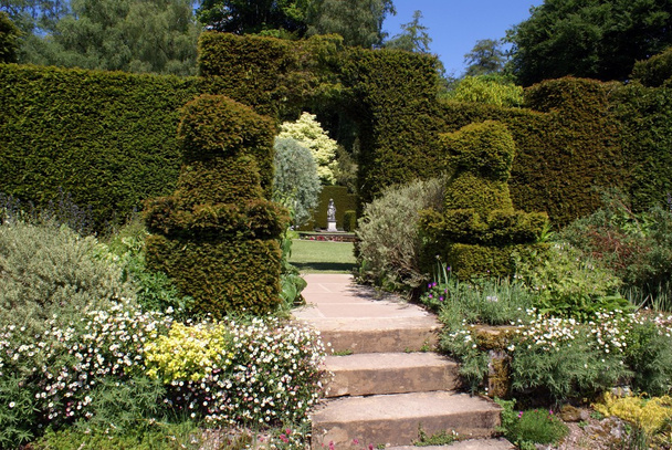 вход в сад с изгородью и тисовым топиаром
 - Фото, изображение