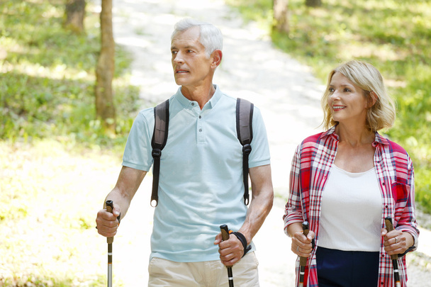 Active senior couple walking  in the forest - 写真・画像