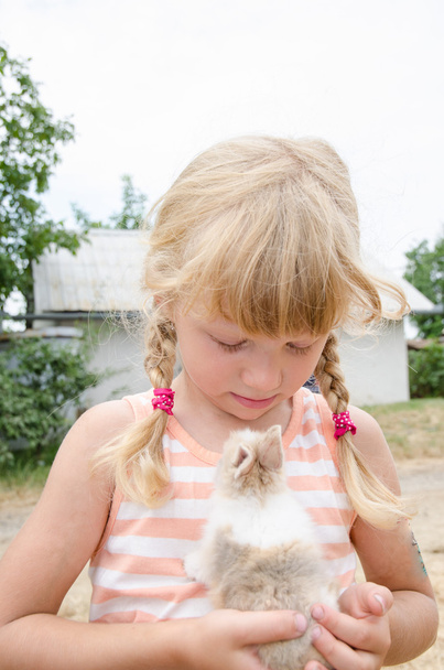 ragazza e coniglietto animale domestico
 - Foto, immagini