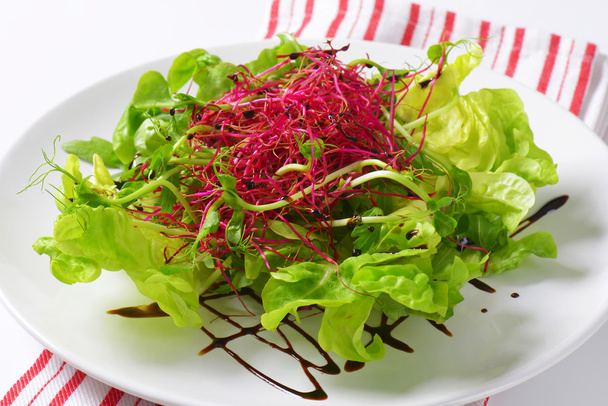 Mixed green salad - Foto, Imagem