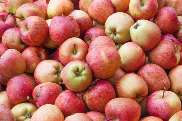 κόκκινο μήλο στέκεται από την μεγάλη ομάδα πράσινα μήλα.  - Φωτογραφία, εικόνα
