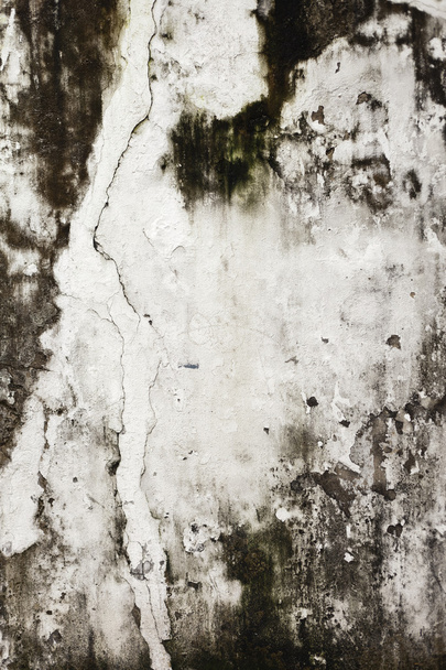 Background from high detailed fragment stone wall - Foto, Bild