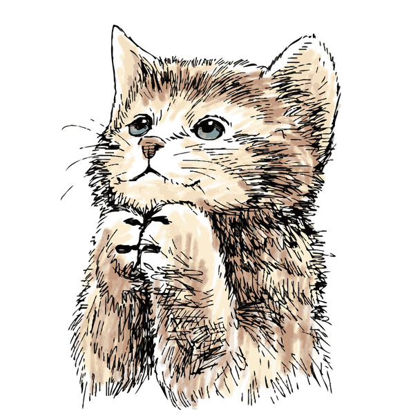 милий кошеня намальований рукою вектор
  - Вектор, зображення