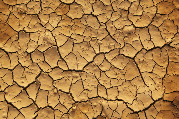 Tierra seca agrietada
 - Foto, imagen