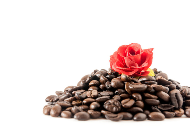 Paahdetut kahvipavut punaisella pienellä ruusulla
 - Valokuva, kuva