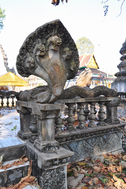 Beautiful Wat Athvea in Ankor,Cambodia - Photo, Image