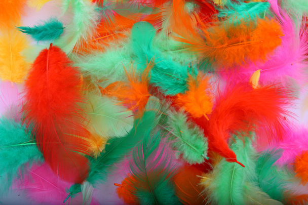 Цветные перья птиц
 - Фото, изображение
