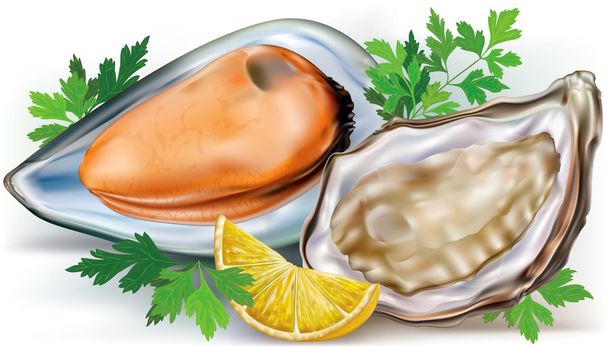 Mejillones y ostras
 - Vector, imagen