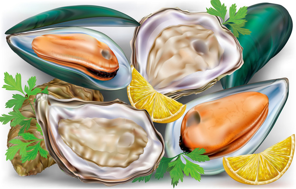 Mejillones y ostras
 - Vector, Imagen