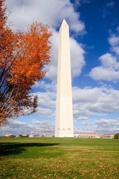 φθινόπωρο μνημείο Ουάσιγκτον πλαισιωμένο αφήνει μπλε ουρανό - Φωτογραφία, εικόνα