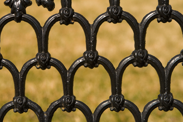 Gros plan de la clôture en fer orné
 - Photo, image
