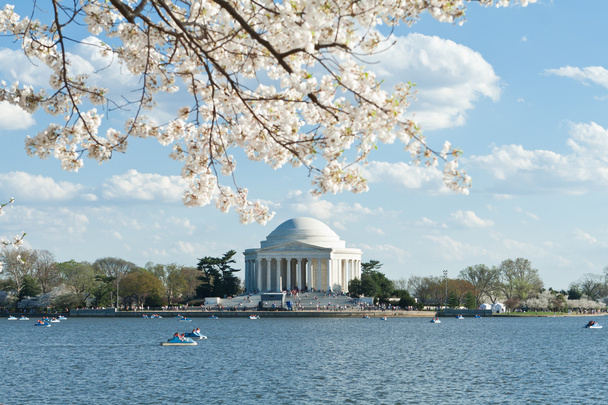 ABD Jefferson memorial gelgit Havzası kiraz çiçekleri - Fotoğraf, Görsel