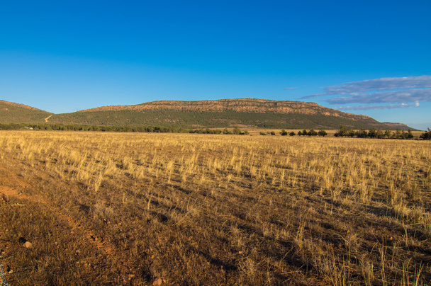 Flinders Ranges 8 - Fotó, kép