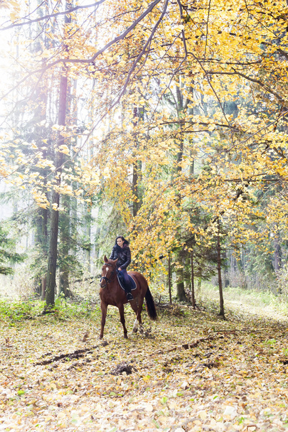 Jezdectví na koních v podzimní přírodě - Fotografie, Obrázek