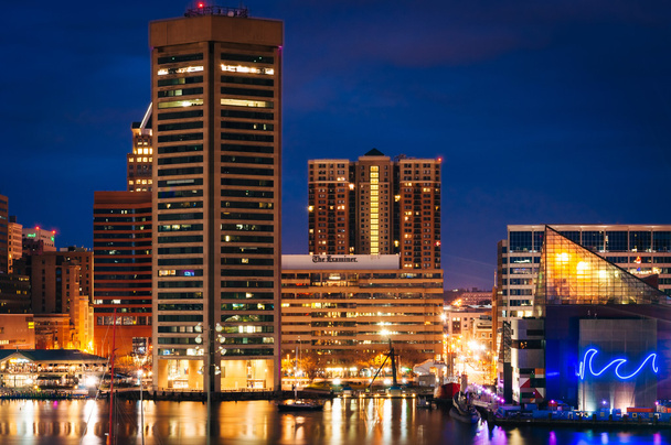 View of the Inner Harbor and skyline at twilight from Federal Hi - Foto, afbeelding