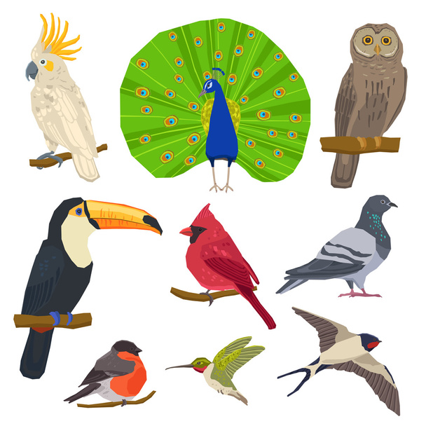 鳥が描かれたアイコンを設定  - ベクター画像